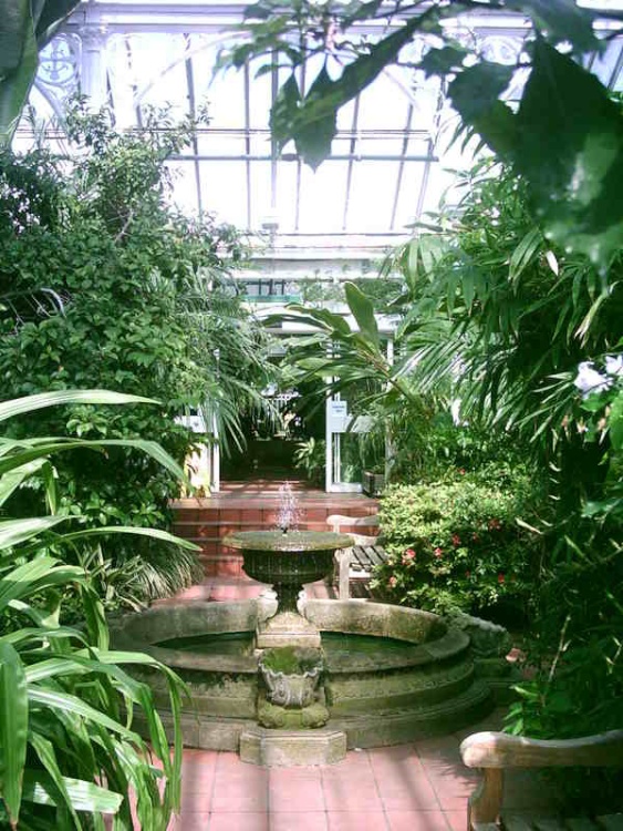 Birmingham Botanical Gardens in Bloom - Part 13