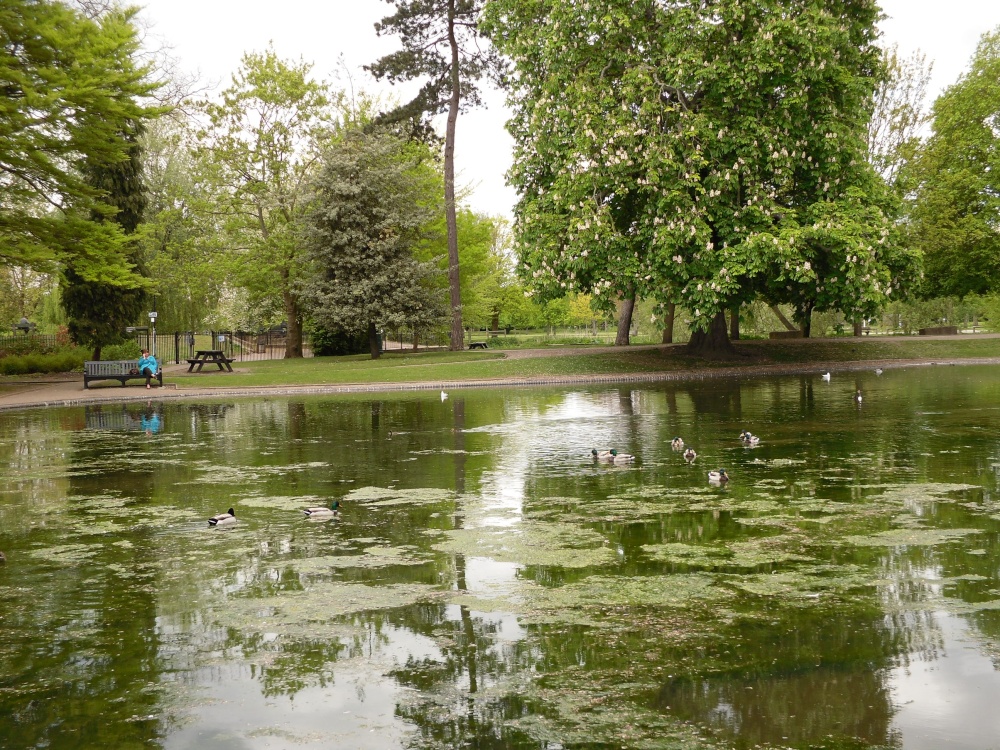 Colchester, pond in the castle park in May 2010