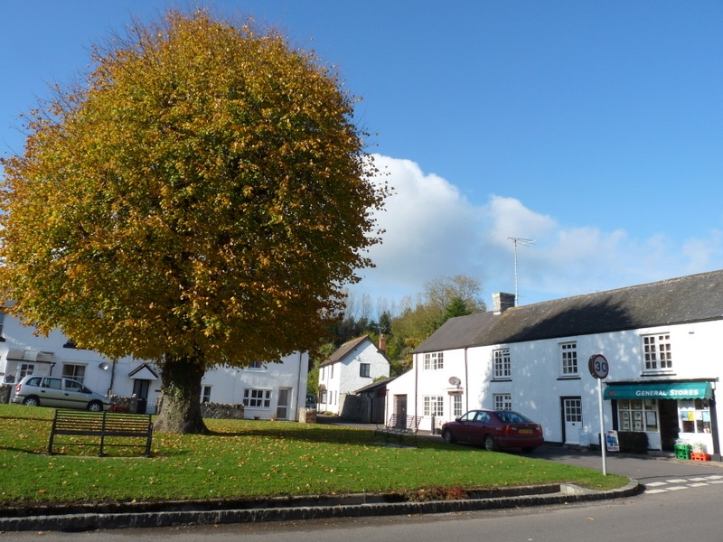 Pictures of Combe St Nicholas