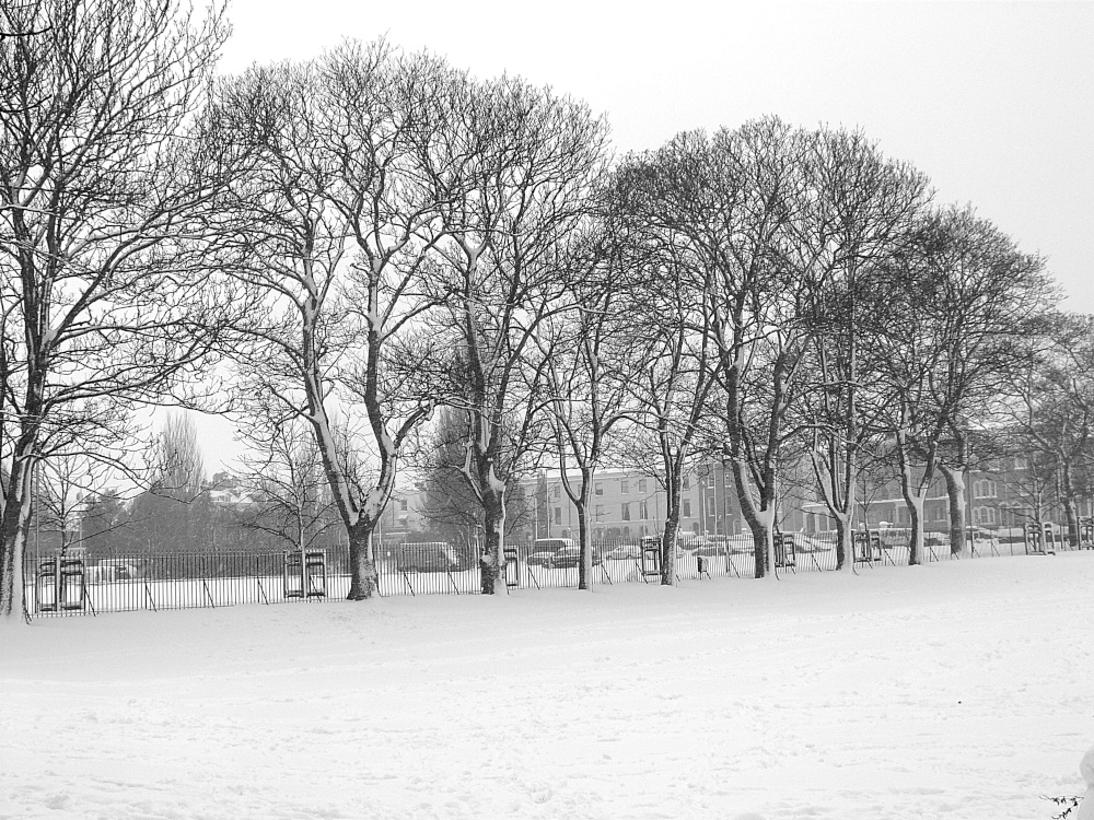 Fort Gardens in the snow