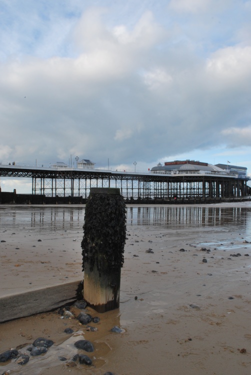 The pier from beach level