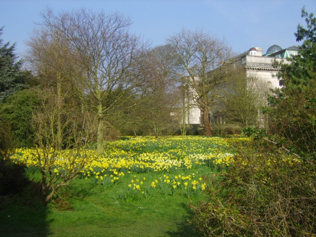 Pembroke College Gardens