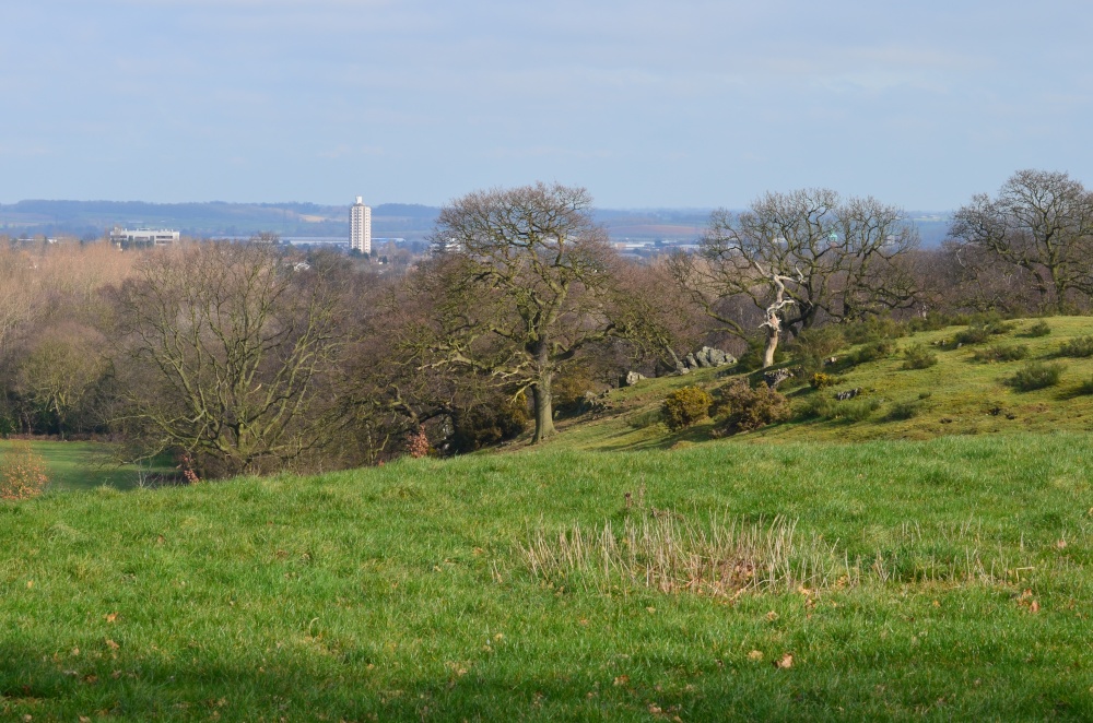 View from Breakback Lane, towards Loughborough