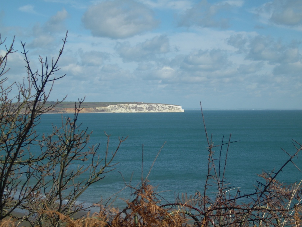 Culver Cliff from Shanklin.