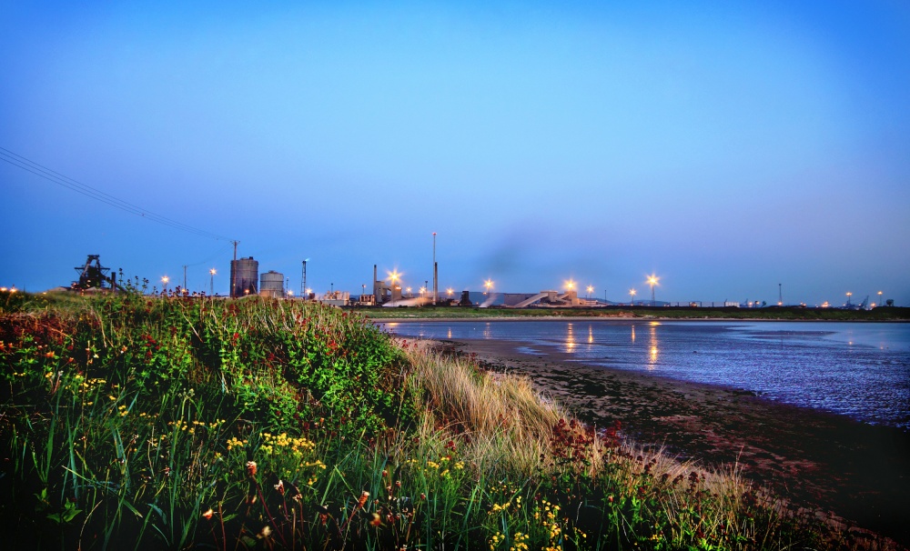 Nature of the Beast - Redcar