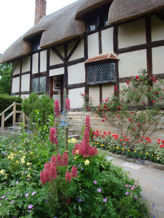 Anne Hathaway's Cottage June 2008