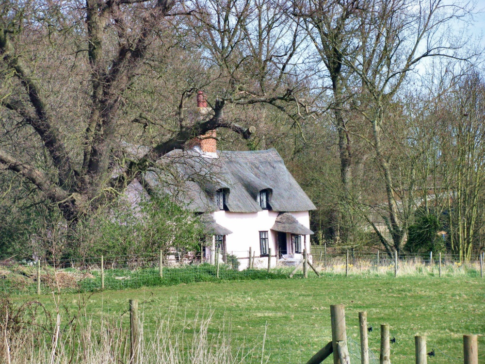 "A pretty thatched Cottage in Benhall" by Peggy Cannell at