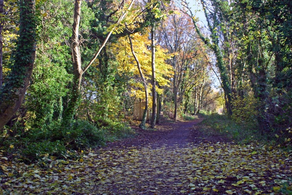 The North Dorset Trailway
