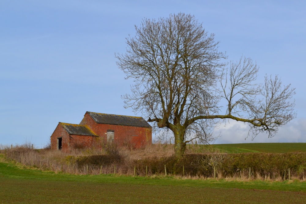 Country Farms Pictures of England