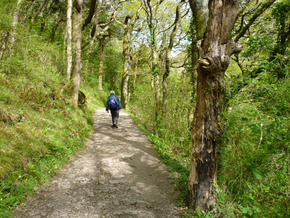 Walking to Watersmeet from Lymouth