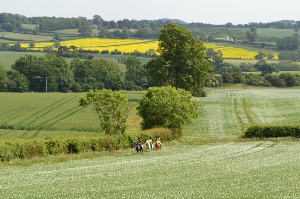Country Farms Pictures of England