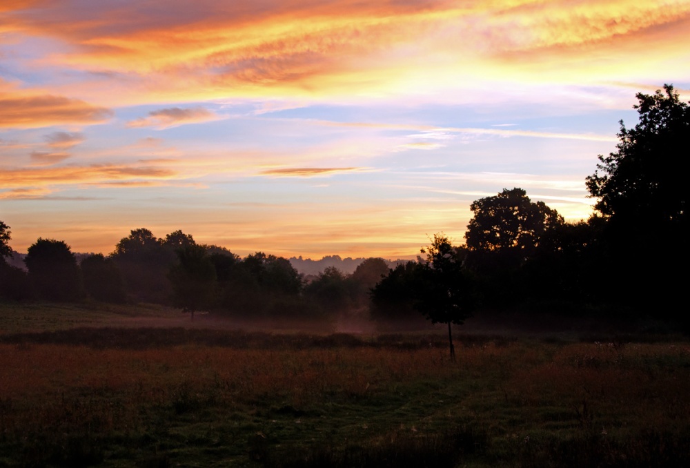 Dawn over Teston meadows