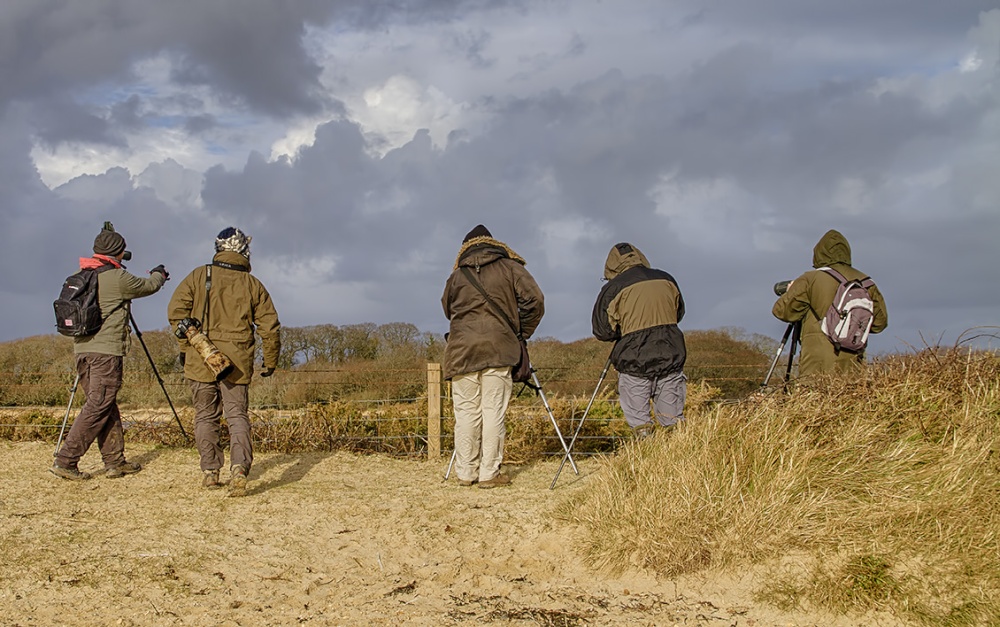 Bird Spotters at Lepe