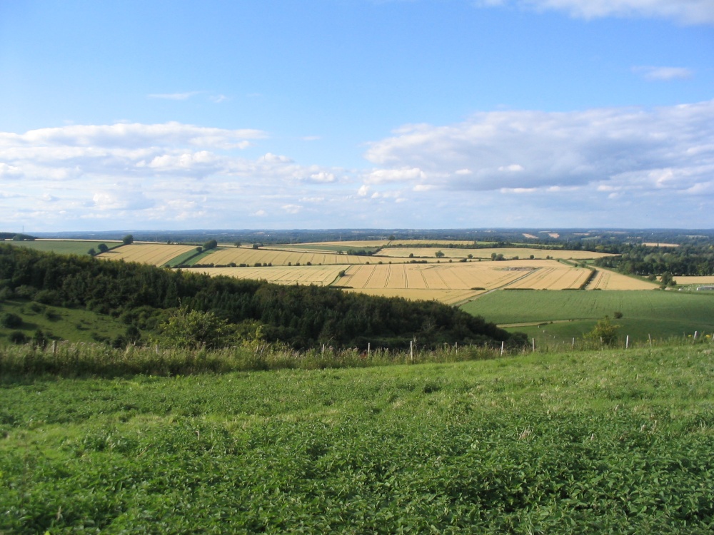 View of Watership Down (1)