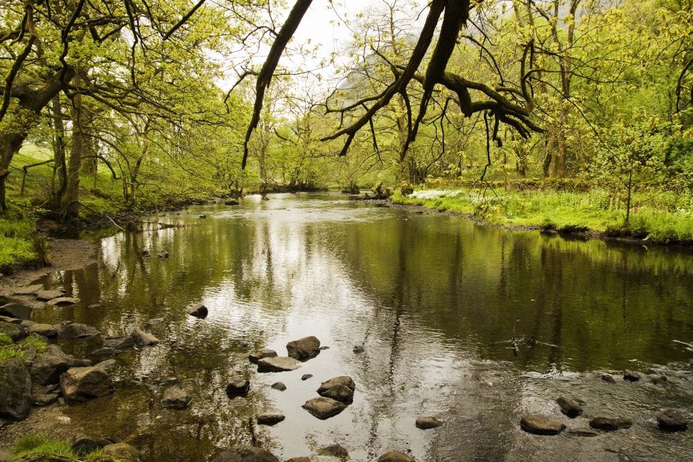 River Rothay Rydal Woods
