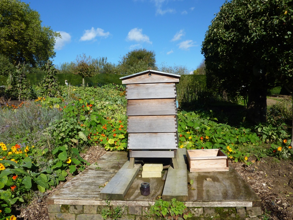 Beehive in the vegetable garden at Standen, 12th October 2012