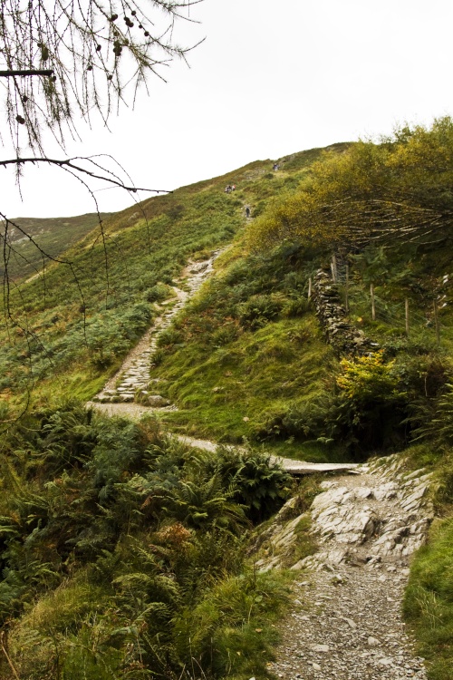 Path to Loughrigg Summit