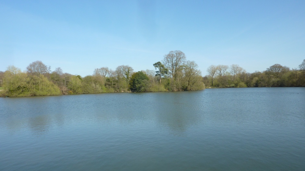 Old boating lake, Earlswood, 14th April 2015