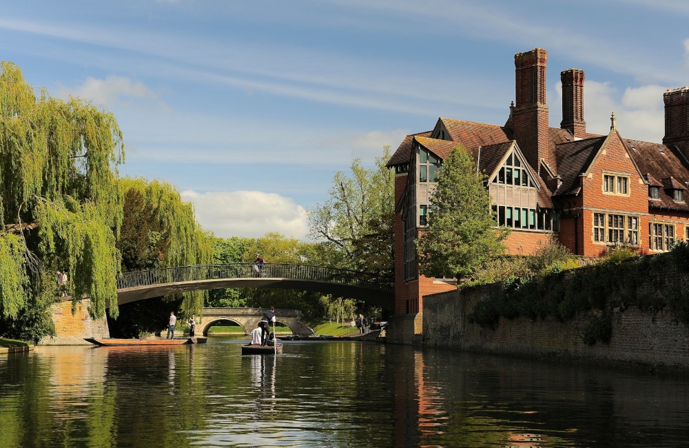 Punting tour along the River Cam