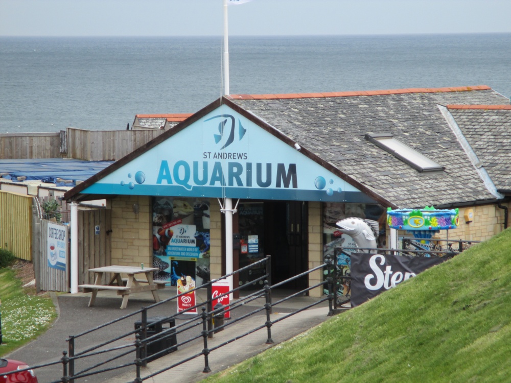 The Aquarium.