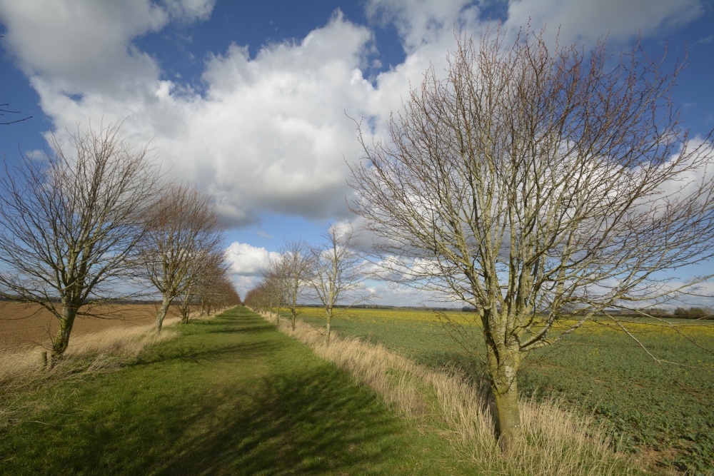 Bridleway just by Finmere, Oxfordshire