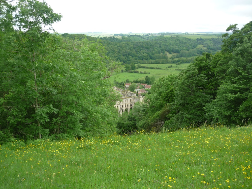 View of Rievaulx Abbey from Rievaulx Terrace