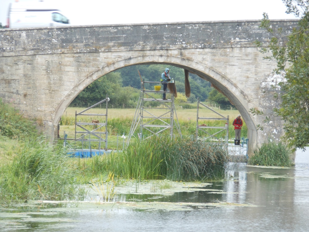 Repairing the bridge over the Stour, Wimborne
