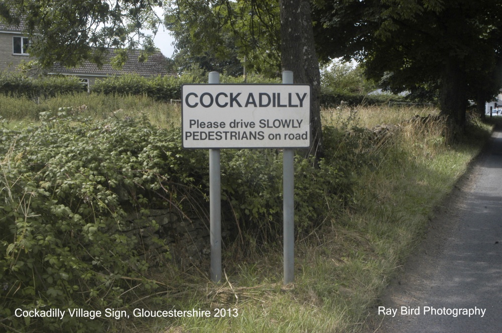 Cockadilly, nr Nympsfield, Gloucestershire 2013