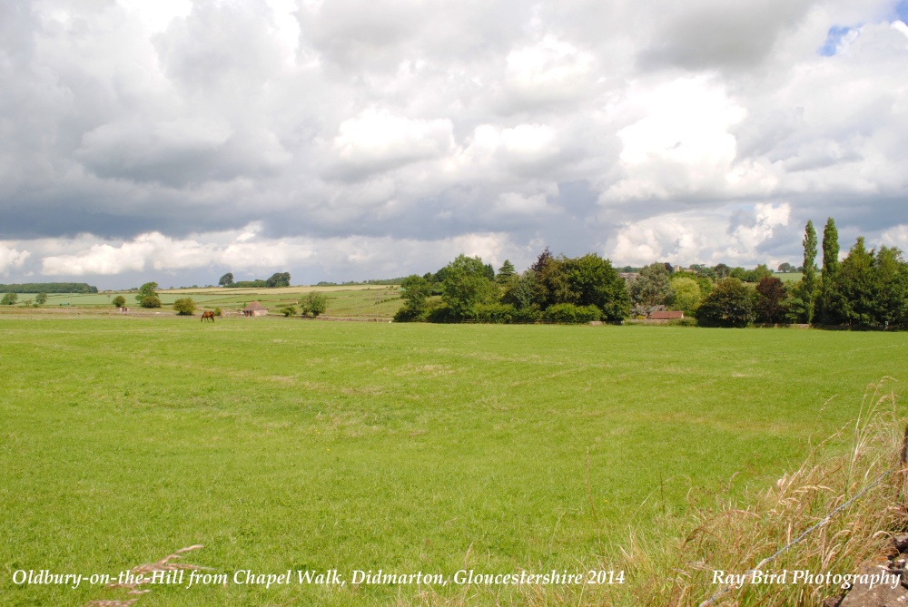 Oldbury on the Hill from Chapel Walk, Didmarton, Gloucestershire 2014