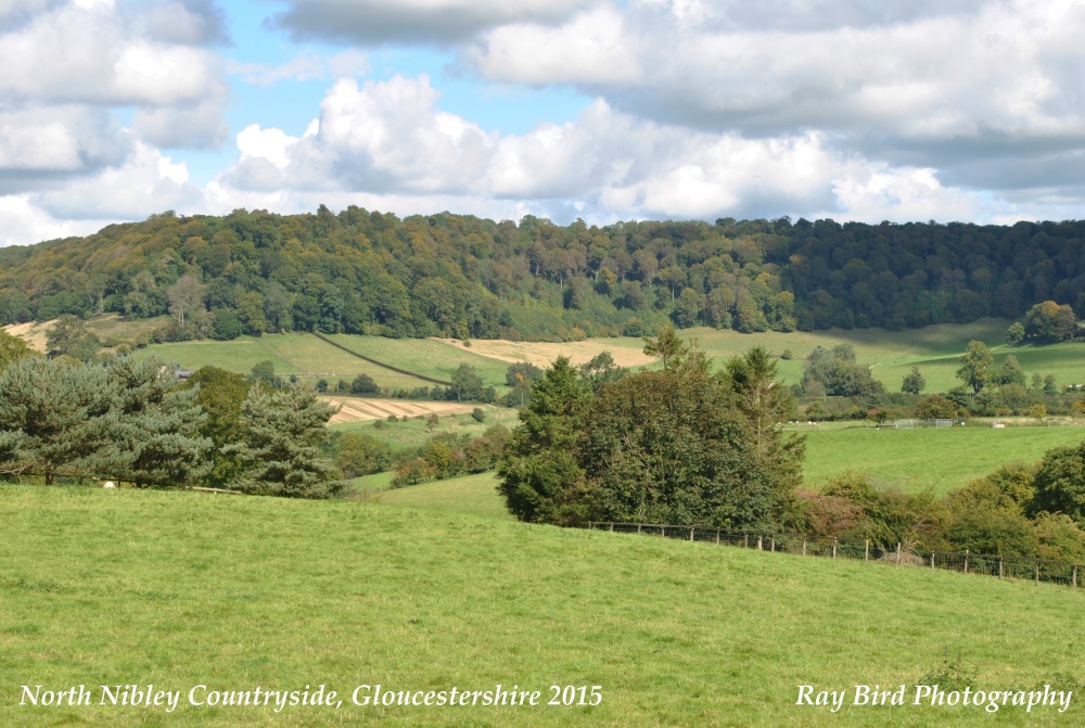 North Nibley Countryside, Gloucestershire 2015