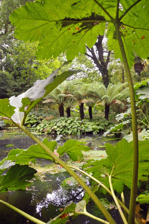 Abbotsbury Tropical Garden