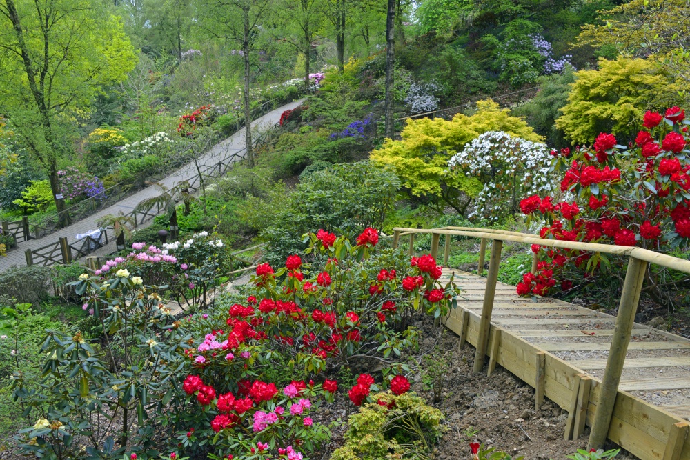 Himalayan Garden and Sculpture Park, near Ripon
