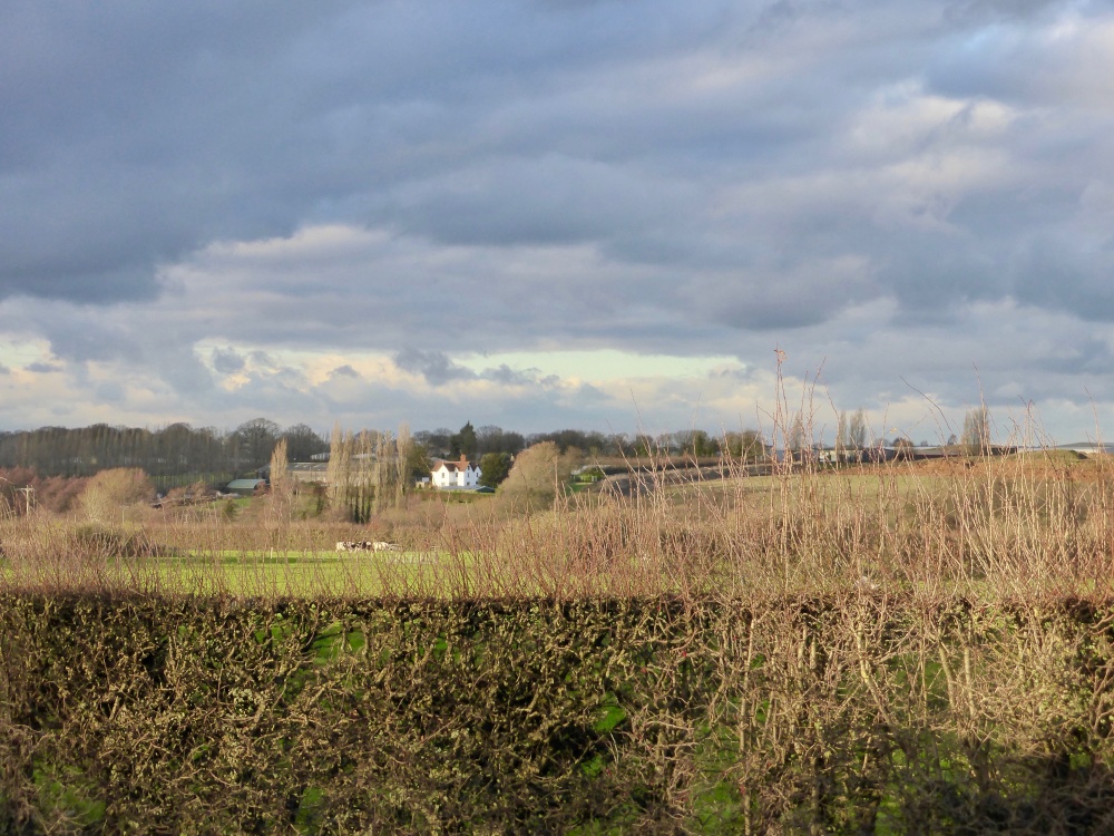 A Bright Winter Day at Chart Sutton, Kent.