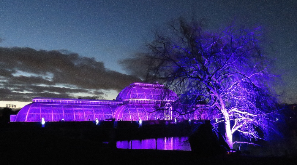 Kew gardens at christmas 2018