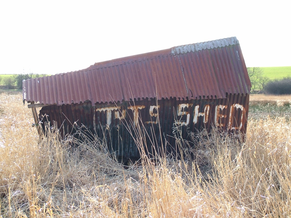 Tut's Shed