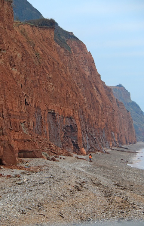 Sidmouth Cliffs Warning