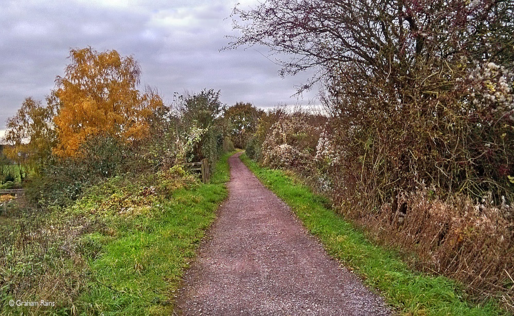 North Dorset Trailway Nov. 2019