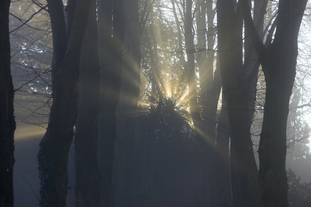 Fog in the Churchyard, Leek, Staffordshire