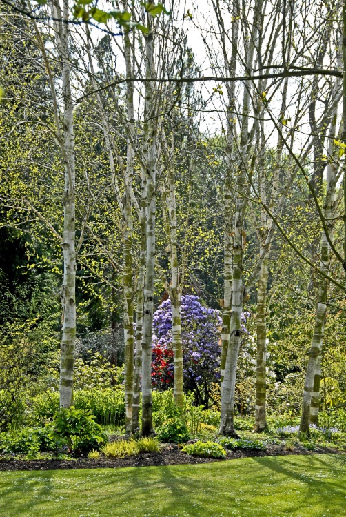 Newby Hall Garden