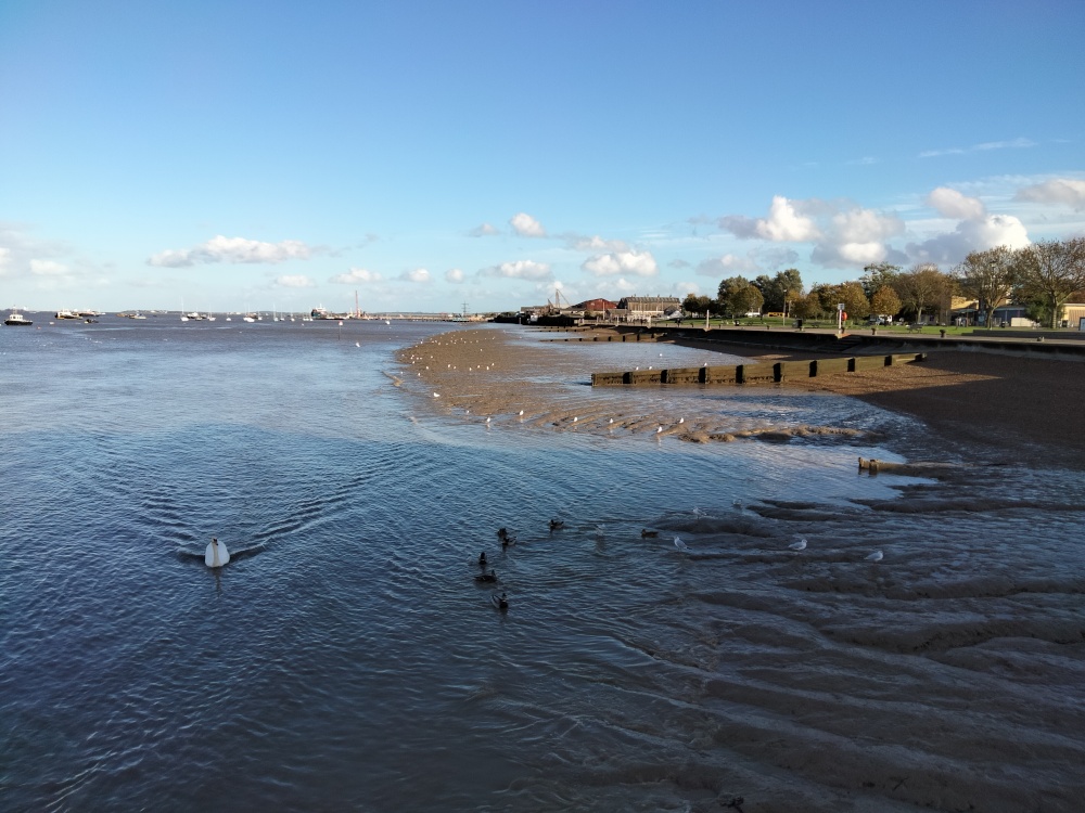 View of Gravesend Promenade from the Yacht Club Jetty. Looking Down River