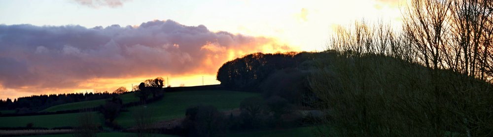 Sundown on Hayes Wood