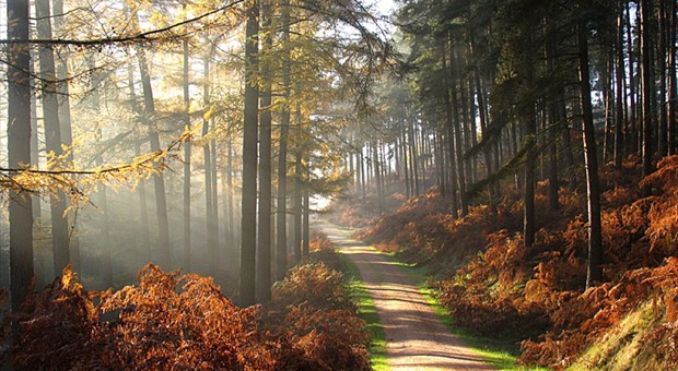 Take a journey of discovery through England.. Take a journey of discovery through England..