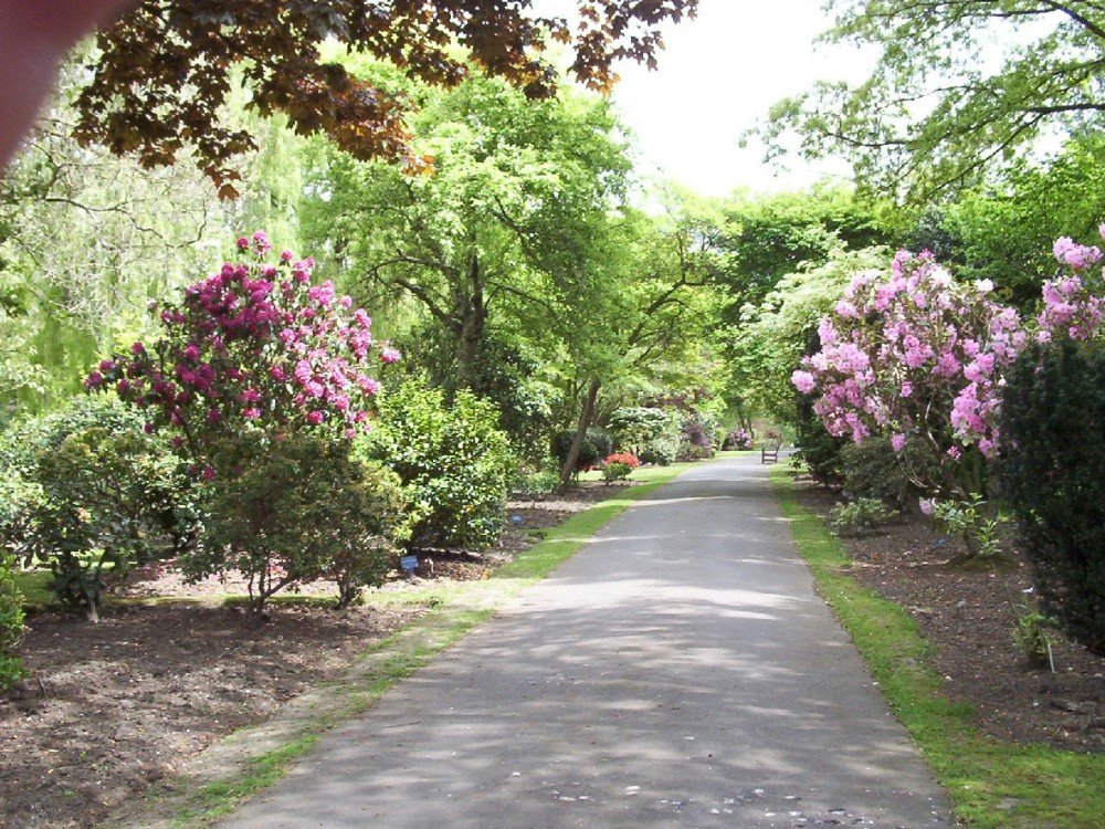 Golders Green Crematorium Garden