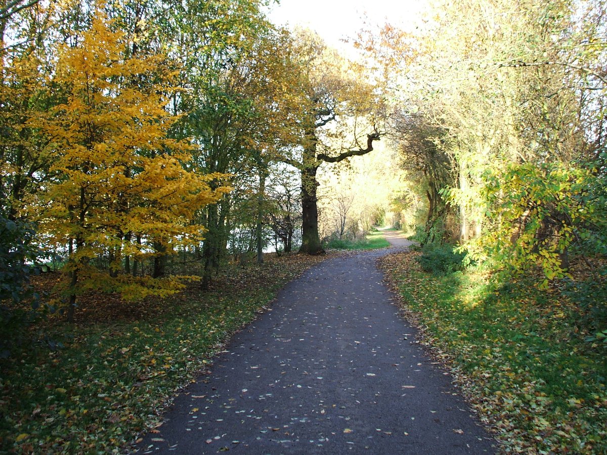 A very nice walk around John Merricks lake in Watermead Country Park, Leicester
