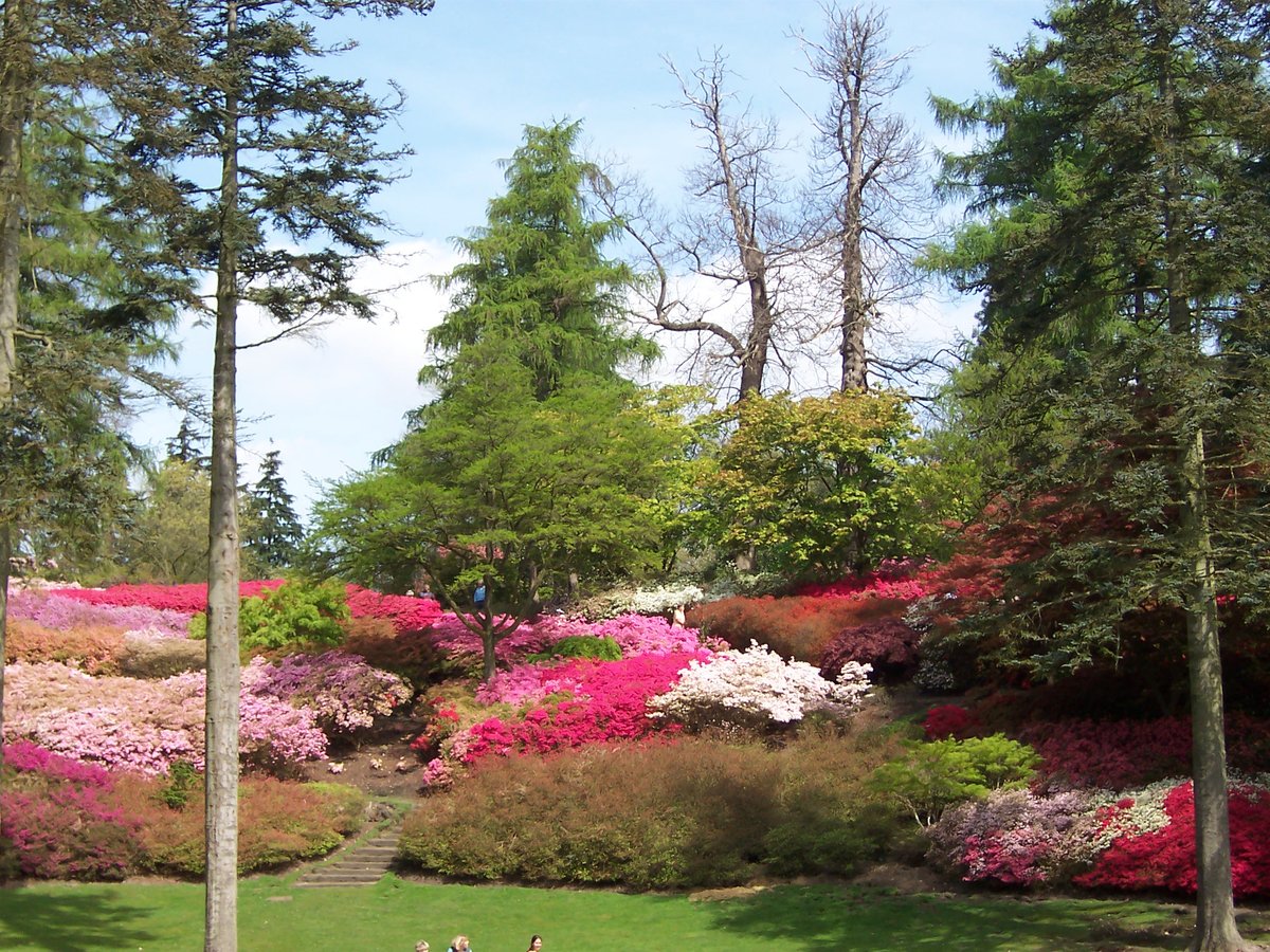 "Punch Bowl...in Valley Gardens, on the shores of Virginia Water Lake