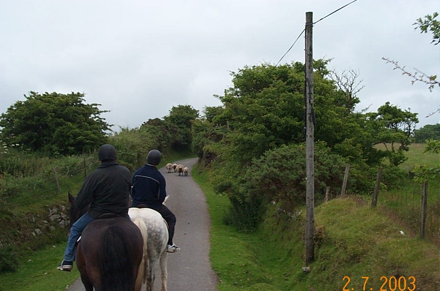 Riding on Bodmin Moor