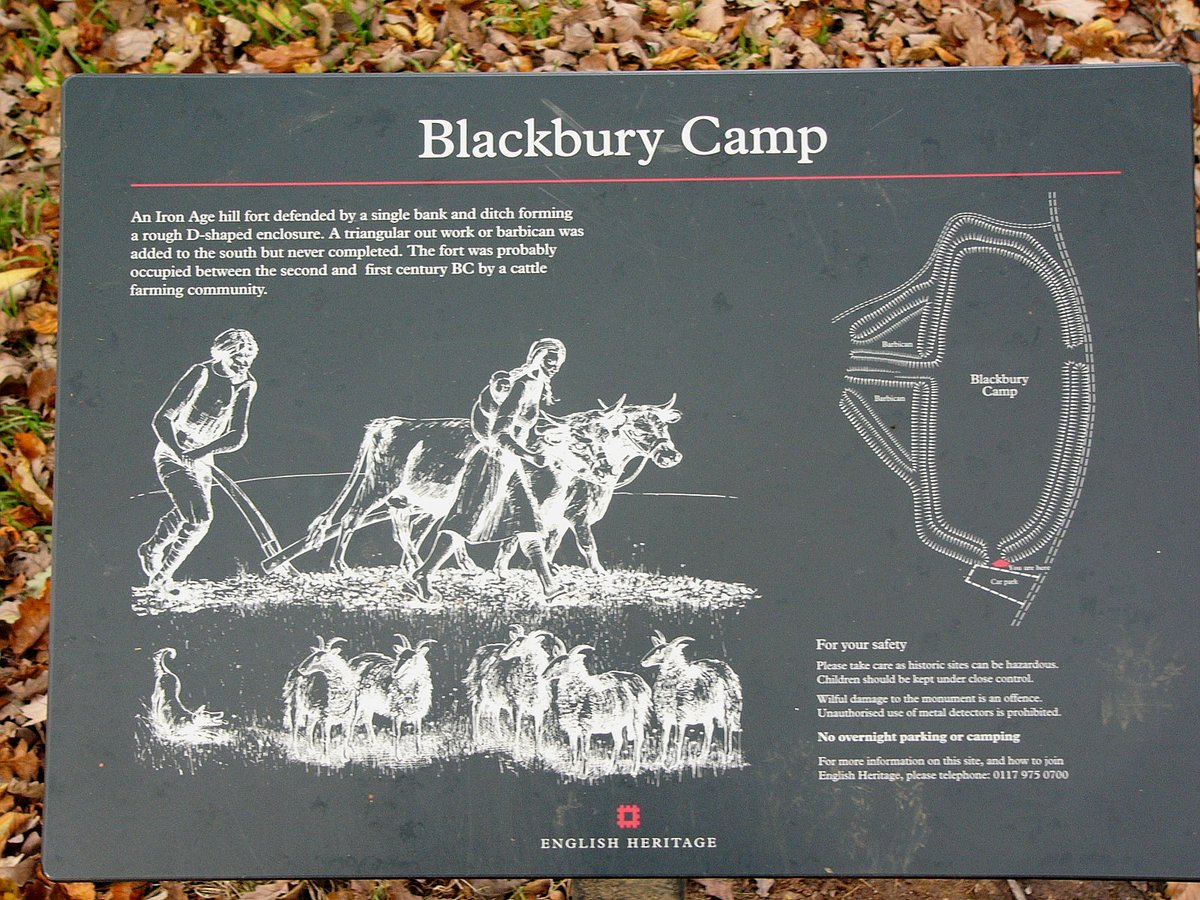 Blackberry camp, Devon