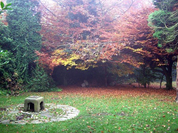 Sherdley Park, Autumn image.