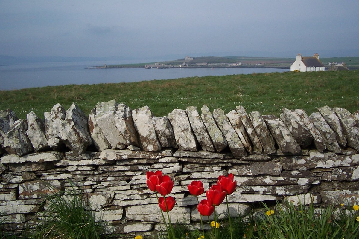 A view of Shapinsay harbour and village. May 2004