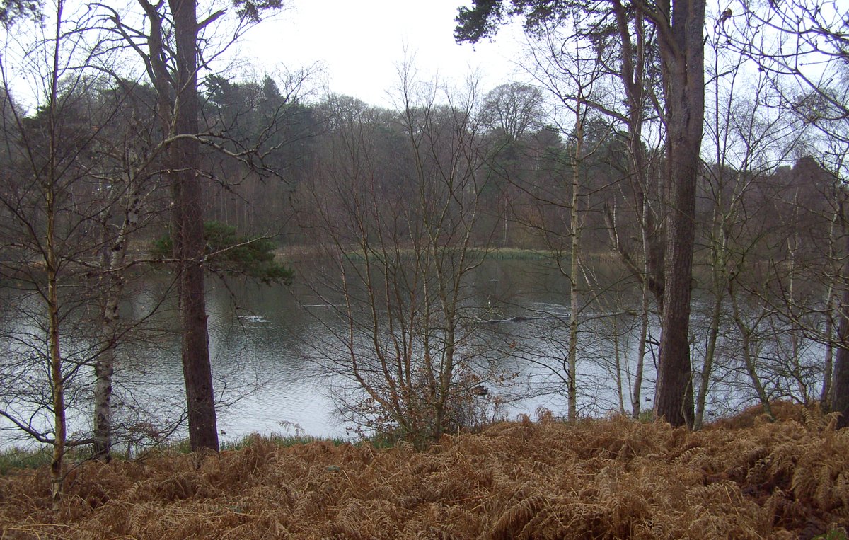 The lake at Clumber Country Park, Worksop, Nottinghamshire